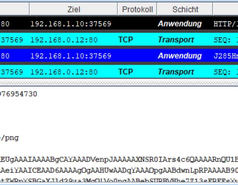 webserverdump2.png